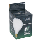 Lâmpada LED de Filamento Globo Luz Branca 4W GMH  Bivolt