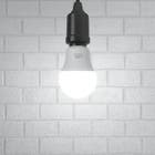 Lâmpada LED Bulbo Luz Branca 9W Bivolt