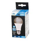 Lâmpada LED Bulbo Luz Branca 9W Bivolt