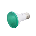 Lâmpada LED PAR20 Luz Verde 6W Luminatti Bivolt