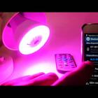 Lampada Led Musical Inova