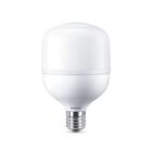 Lâmpada Led Philips Alta Potência 40w  Br Fria 6500k Bv E27