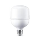 Lâmpada Led Philips Alta Potência 50w  Br Fria 6500k Bv E40
