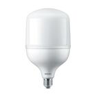 Lâmpada Led Philips Alta Potência 80w  Br Fria 6500k Bv E40