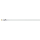 Lâmpada LED Tubular Luz Neutra 18W T8 120cm Ledvance Bivolt