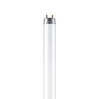 Lâmpada Led Tubular T8 9w Bivolt Luz Branca
