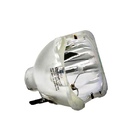 Lâmpada Msd  Platinum 15r 300w