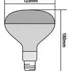 Lâmpada Secagem Infra 250w 220v E27
