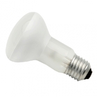 Lampada Spot Brasfort 100wx220v E27 R80 8554 C-5pcs