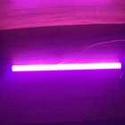 Lâmpada Tubular T8 Led 60 Cm 10w Colorida Rosa