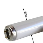 Lâmpada Uv Philips Secagem Cola 127v Tlk 40w/10r