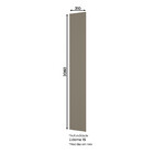 Lateral Évelin Henn