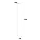 Lateral Évelin Henn