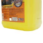 Lava Autos Cremoso 5l Autoshine