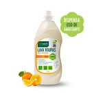 Lava Roupas 1lt - Citrus