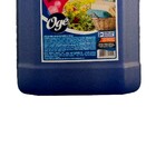 Lava Roupas Sabão Liquido Concentrado Limpeza Total Ogê 5l