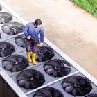 Lavadora De Alta Pressão Água Fria E Quente 25l Diesel Ipc Br