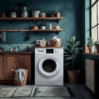 Lavadora De Roupas 12kg Philco Plr12a Branca 127v