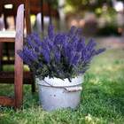 Lavanda Lilás Artificiais Kit 8 Unidades - Buquê De Flores Id