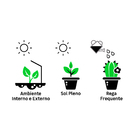 Lavandula Pote 15 Planta Natural