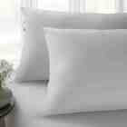 Lençol Com Elástico King Sofee Cinza Bob Kacyumara