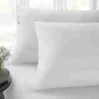 Lençol Com Elástico Queen Sofee Branco Kacyumara