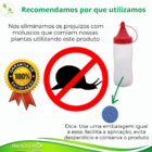 Lesmicida Fim Da Lesma Elimina Infestações De Caramujos, Cara