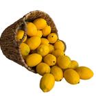 Limão Artificial 8 Unidades Perfeito Para Artesanato E Decora