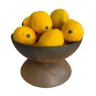 Limão Artificial Com Acabamento Realista 5 Unidades Para Frut