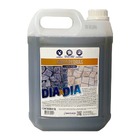 Limpa Pedra 5l Rústica Área De Piscina Quintal Manutenção