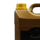 Limpador De Interiores Tornador E Extratora 5 Litros Cadillac