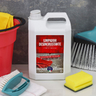 Limpador Desincrustante 5L Bellinzoni