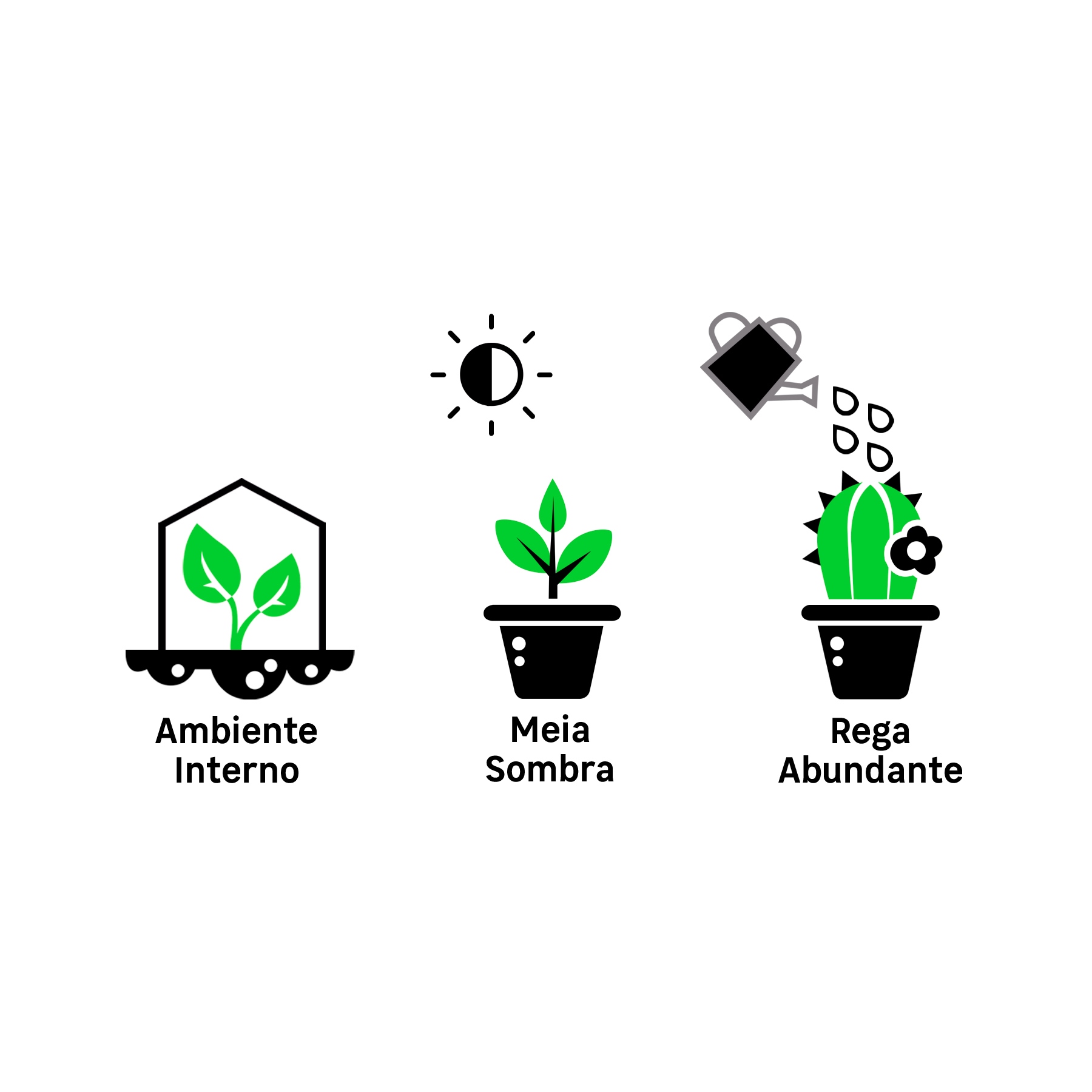 Begônia Beleaf Pote 15 Planta Natural: Como Cuidar