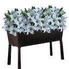 Lírio Artificial Em Buquê Realista Com 9 Unidades - Ideal Par