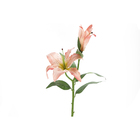 Lírio Casablanca Salmão 69cm