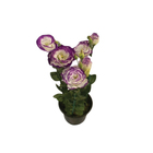 Lisianthus Pote 13