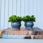 Livro Caixa Decorativo Porta Objetos E Dupla Vaso Cachepô