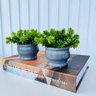 Livro Caixa Decorativo Porta Objetos E Dupla Vaso Cachepô