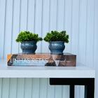 Livro Caixa Decorativo Porta Objetos E Dupla Vaso Cachepô