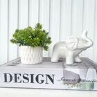 Livro Caixa Design + Mini Vaso Branco + Escultura Elefante