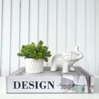 Livro Caixa Design + Mini Vaso Branco + Escultura Elefante