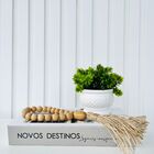 Livro Caixa Porta Objetos, Vaso Branco E Colar De Mesa