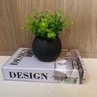 Livro De Papelão Decorativo 'design' E Vaso Preto De Vidro