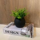 Livro De Papelão Decorativo 'design' E Vaso Preto De Vidro