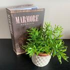 Livro De Papelão Decorativo E Vaso De Cimento Artesanal