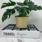 Livro Decorativo De Papelão E Vaso Revestido Com Corda Sisal