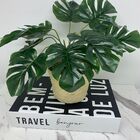 Livro Decorativo De Papelão E Vaso Revestido Com Corda Sisal