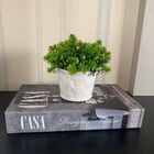 Livro Decorativo 'design Exclusivo' E Vaso Branco Cerâmico