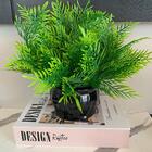 Livro Decorativo E Vaso Preto De Cerâmica Trabalhado