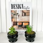 Livro Decorativo Enfeite Sala E Dois Vasos Preto Cachepot